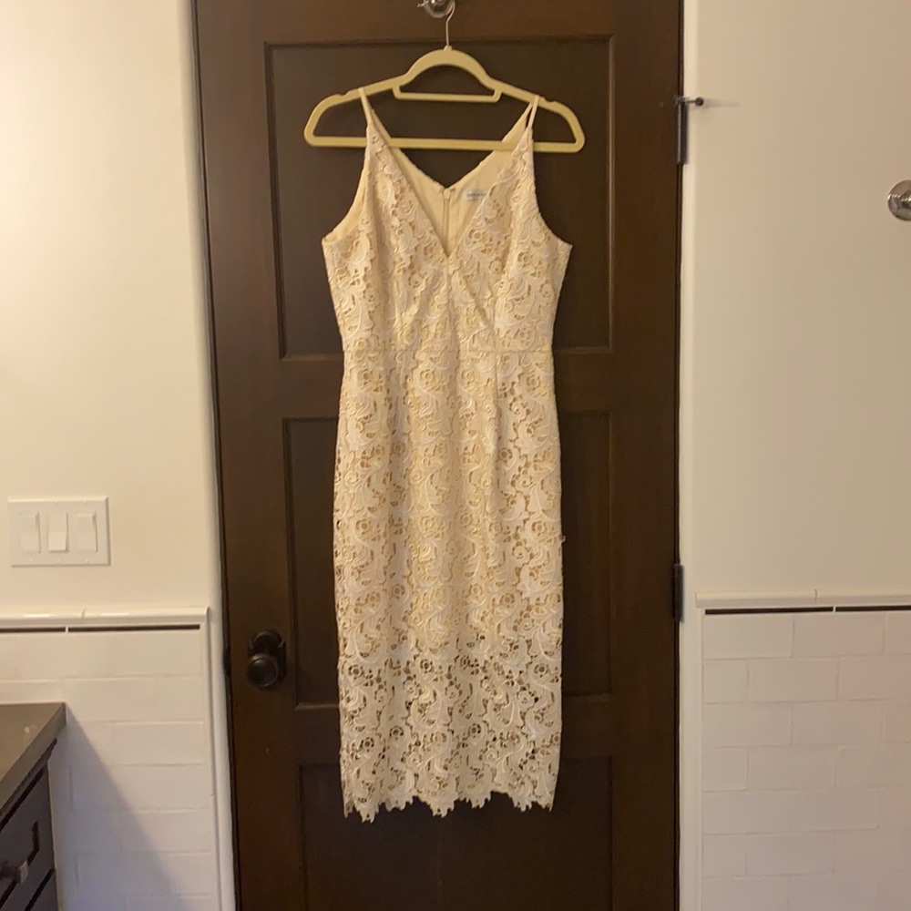 Dress the Population ivory lace dress!